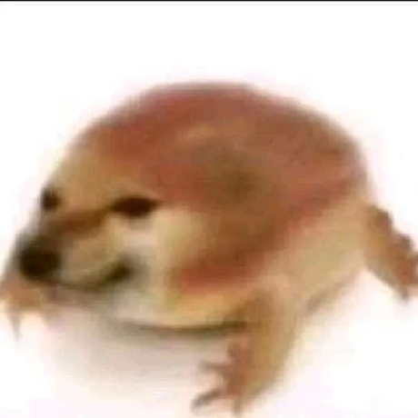 Avatar of 'MacAndMayo'