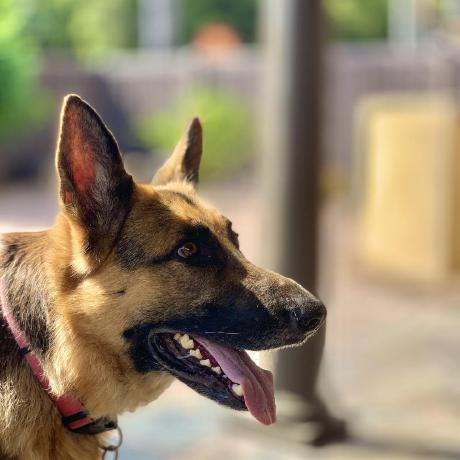 Avatar of 'BrandonItaly'